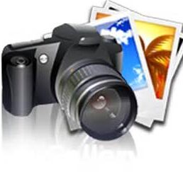photo gallery